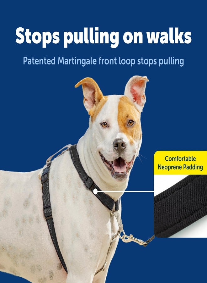 بيت سيف حزام صدر للكلاب 3 في 1 من بيت سيف - حزام صدر مريح وسهل المشي مع مشبك أمامي للرباط لتقليل الشد والاختناق والتقيؤ - معدات تدريب الكلاب على الطاعة - متوسط - أسود - Image 3